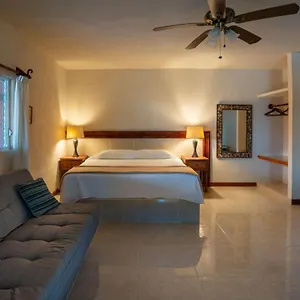 https://the-diving-lodge-downtown.allrivieramayahotels.com