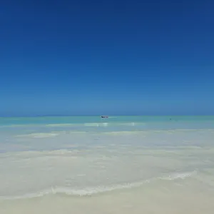 Luna Y Sol Glamping Hostal Holbox Isla Holbox
