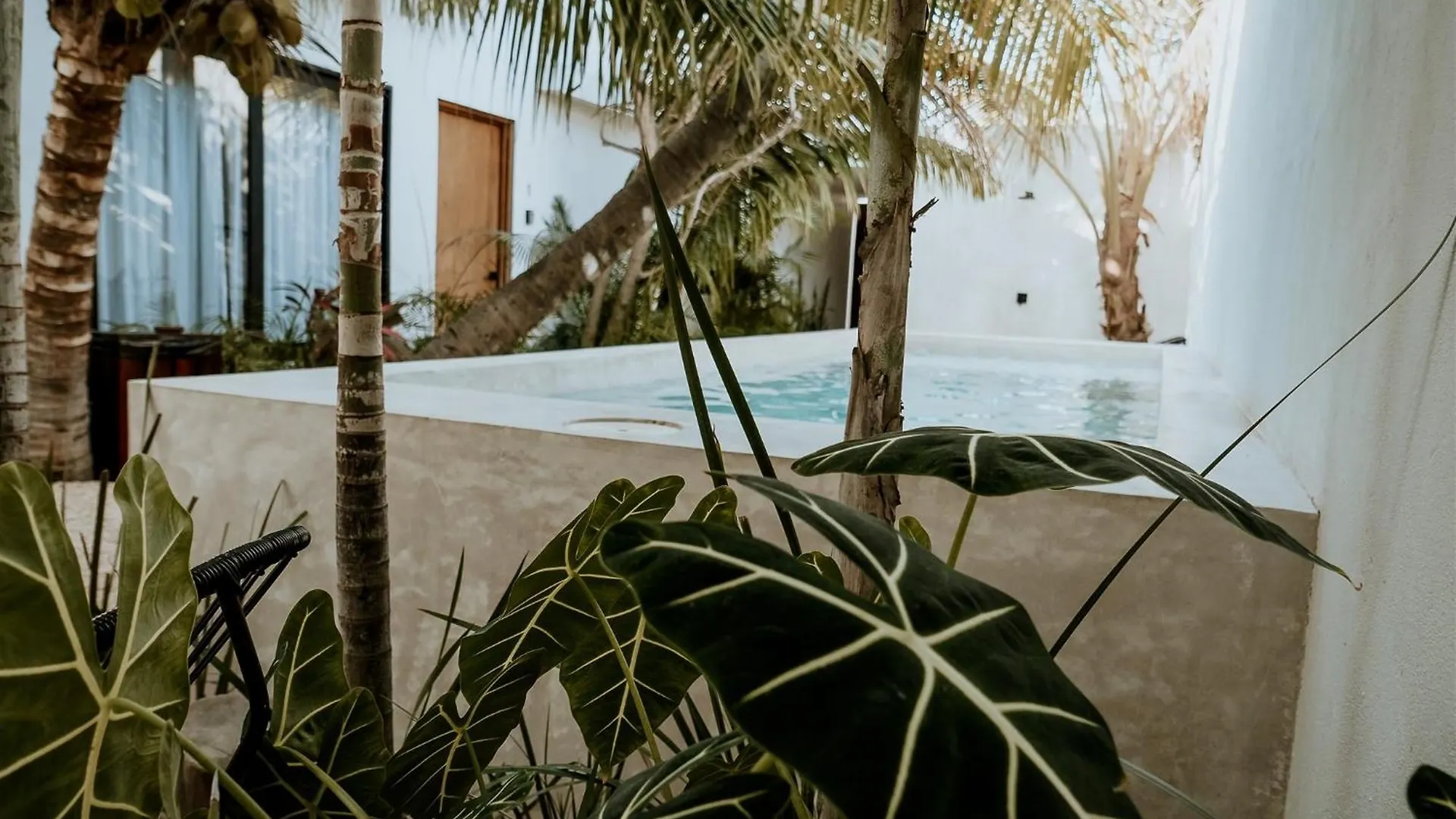 Apartments & Suites Madre Holbox Self-Check In  Isla Holbox